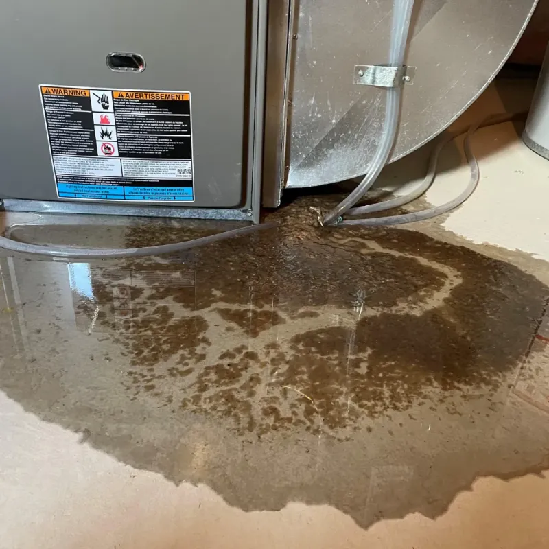 Appliance Leak Cleanup in Gladstone, MO
