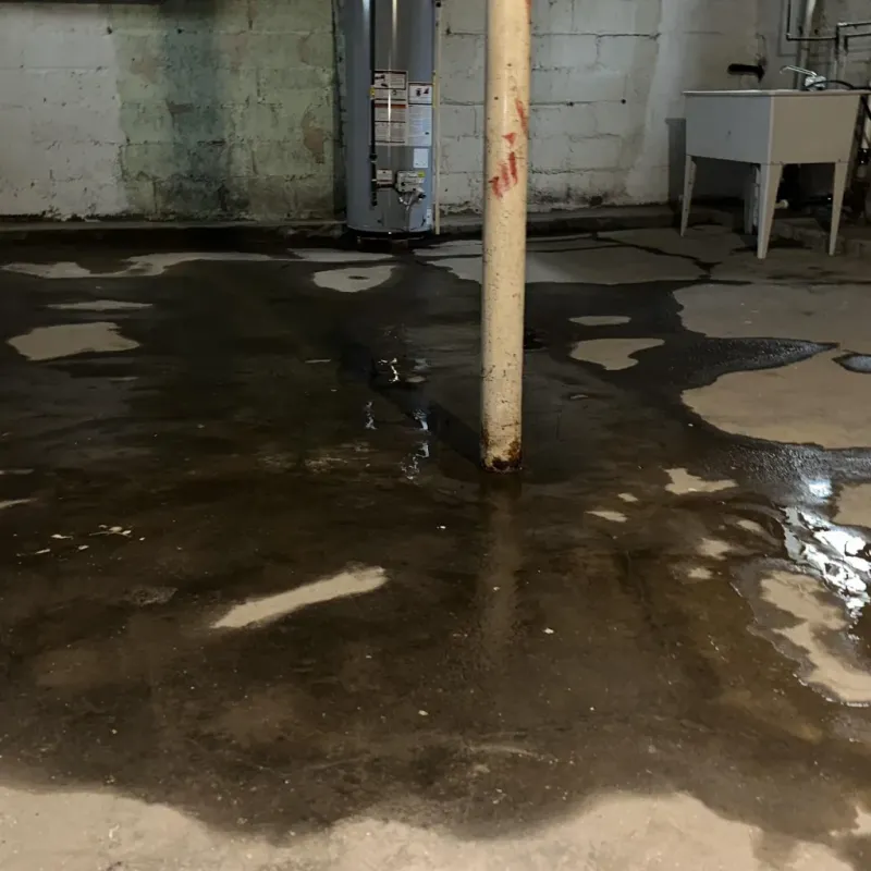 Emergency Water Extraction And Removal in Gladstone, MO